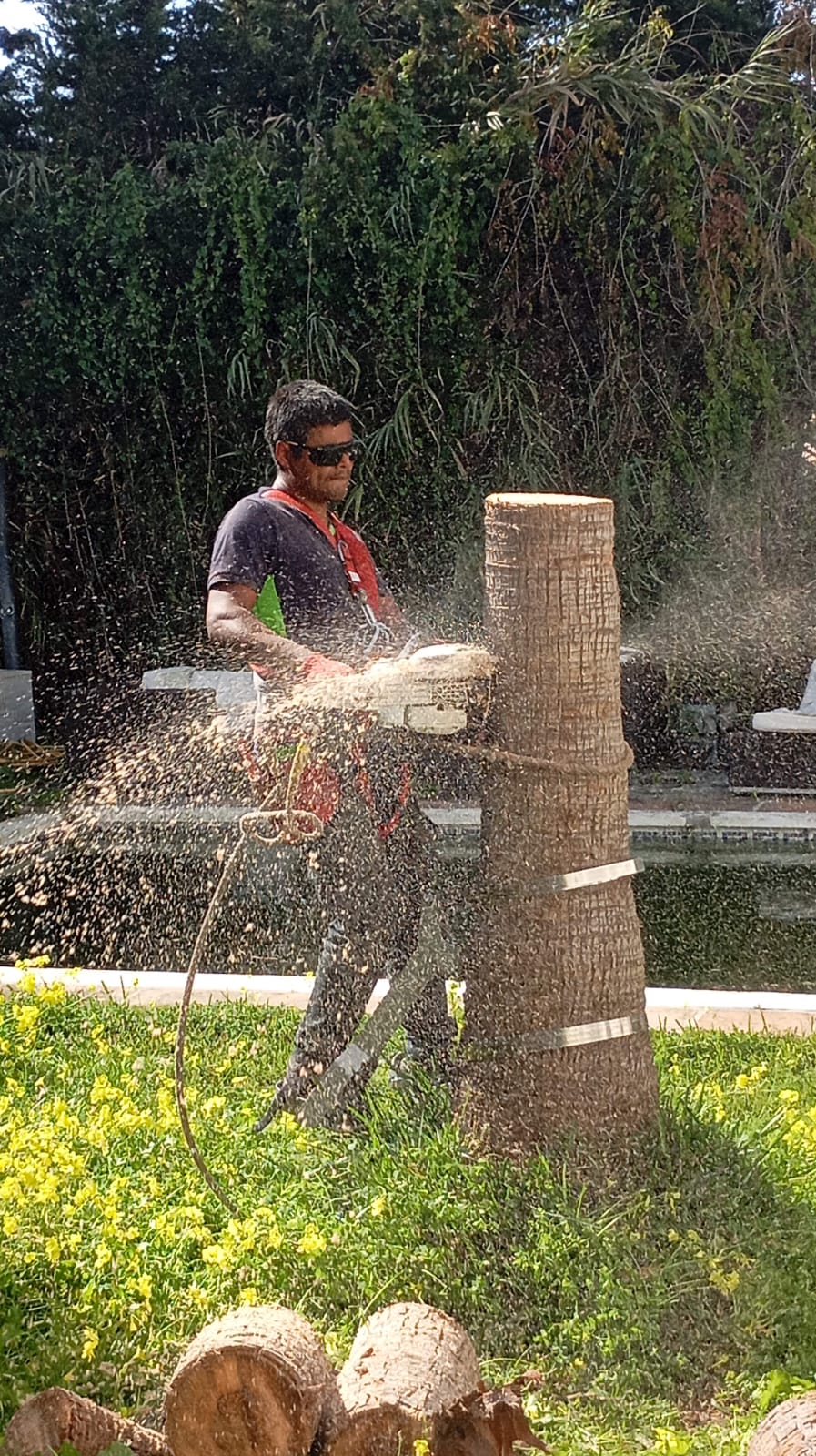 Jardinero profesional podando en Marbella